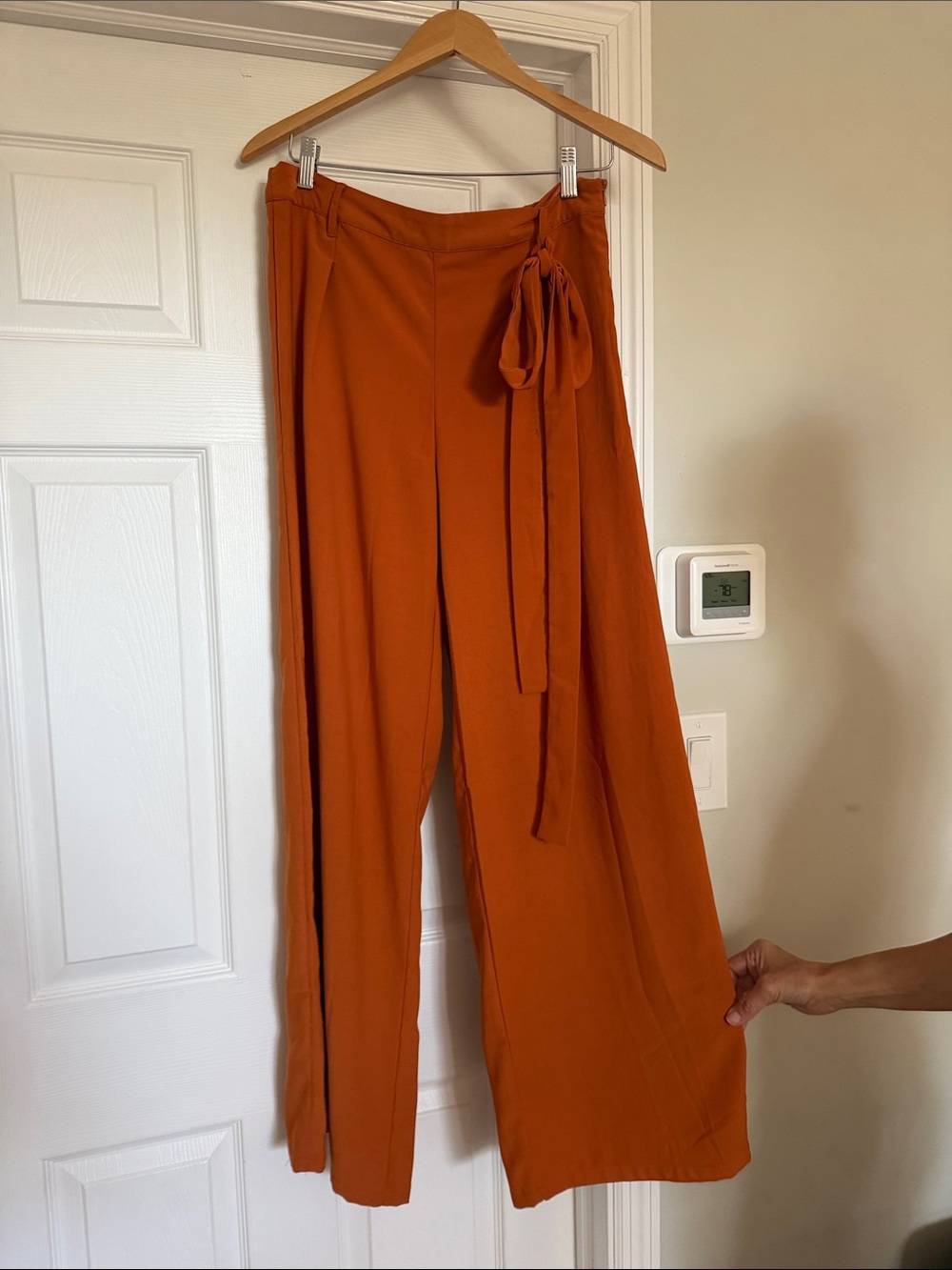 Wide-Leg Tie-Waist Pants in Rust
